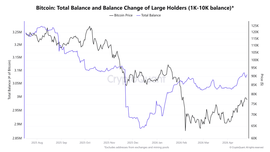 Bitcoin whale holdings hit five-month high: Is BTC headed to K next?